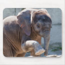 Search for elephants mousepads Sweet