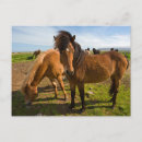Search for ralph postcards Ralph h bendjebar