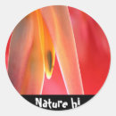 Search for fiery stickers Colourful
