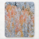 Recherche de montagne rocheuse tapis souris Peuplier