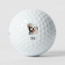 Search for shih tzu golf equipment Dog