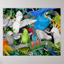 Search for lovebird posters Cockatiel