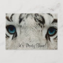 Search for siberian invitations Tiger