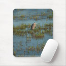 Search for herons electronics Water