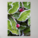 Search for ice crystal art Frost