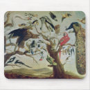 Search for variety mousepads Abundance