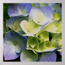 Search for spring design posters Blue