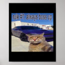 Search for cat men posters Cat ladies for kamala