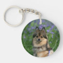 Recherche de spitz porteclés Profil