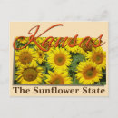 Search for wheat postcards Souvenir