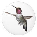 Search for hummingbird knobs and pulls Wildlife