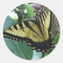 Search for milkweed stickers Flower