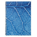 Recherche de macro feuille Veine
