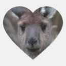 Search for animal face stickers Australia