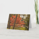 Search for quote mothers day cards I love you
