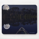 Recherche de moon photographie Forêt