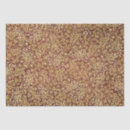 Search for terracotta tissue paper Burnt orange