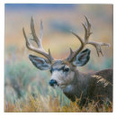 Search for mule tiles Buck