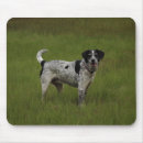 Recherche de animaux familiers tapis souris Vert
