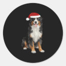 Search for bernese mountain dog lovers stickers Dogs