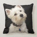 Search for westie pillows White