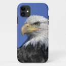 Search for bald headed eagle electronics Usa