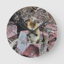 Recherche de le faune horloges Photographe