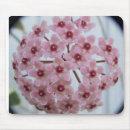Search for macro flower mousepads Bloom