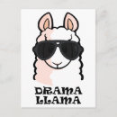 Search for drama llama postcards Cute