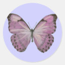 Recherche de pourpre de papillon autocollants Papillons