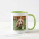 Search for walk mugs Pets