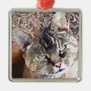 Search for tabby ornaments Pets
