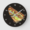 Recherche de papillon jaune horloges Nature