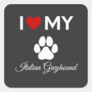 Search for italian greyhound stickers Puppy