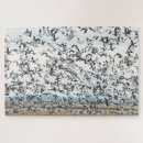 Search for flying geese puzzles Wildlife