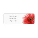 Search for gerber return address labels Pink gerber daisy
