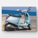 Recherche de scot photographie Plage