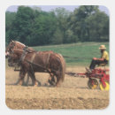 Recherche de amish stickers Cheval