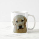 Search for golden lab mugs Cute