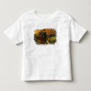 Search for horatio tshirts Cemetery
