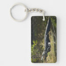 Search for alligator keychains Everglades