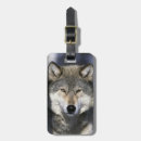 Recherche de loups bagages étiquettes Neige