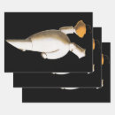 Search for restaurant wrapping paper Cooking