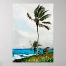 Search for palm trees posters Sea