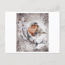 Search for robin painting postcards Animal