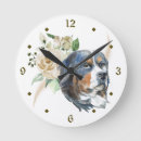 Recherche de berner sennenhund posters Animal