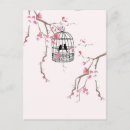 Search for vintage birdcage postcards Pink