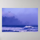 Search for olympic posters Coast