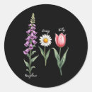 Recherche de flower autres Plus de biden