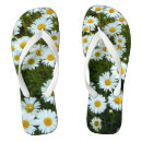 Search for daisy shoes Summer
